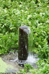 Puits à eau Artésien